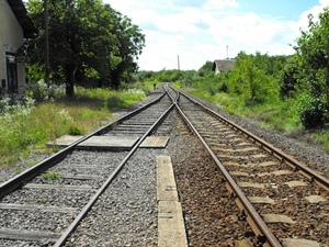 snx